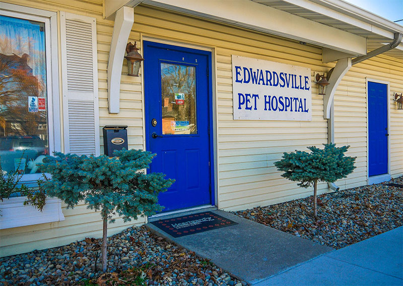 Carousel Slide 5: Edwardsville Veterinary Hospital