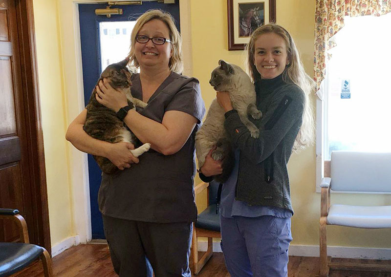 Edwardsville Veterinary Hospital Staff