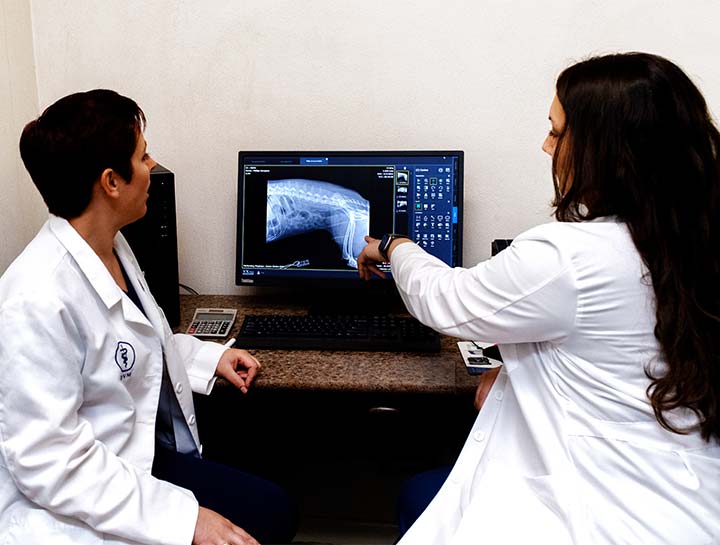 Pet Digital Radiology